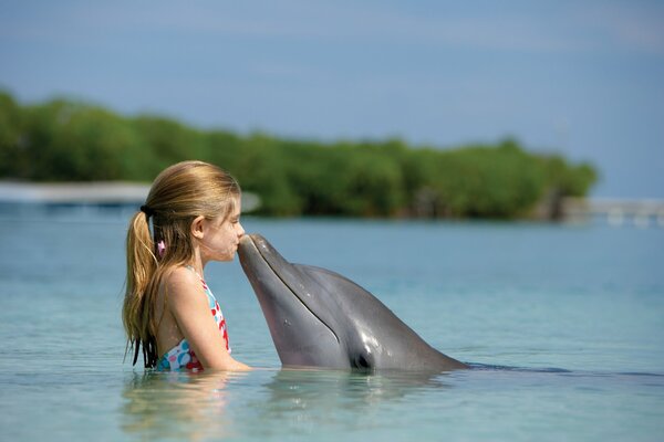 Ein Kind hat sich mit einem Delfin auf Paradise Island angefreundet