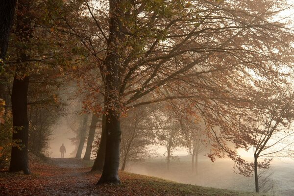 Brume matinale dans le parc d automne et la silhouette visible d un homme solitaire marchant le long du sentier