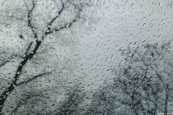 Gouttes de pluie coulant sur le verre