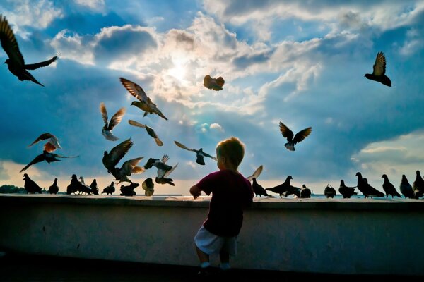 Baby feeds pigeons in the evening in the park