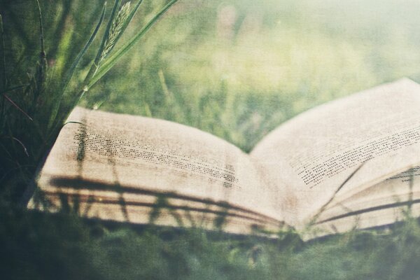 Offenes Buch liegt auf dem Rasen