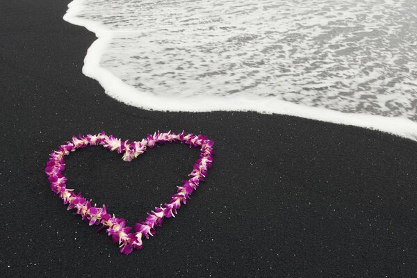 Coeur de fleurs. Fond d écran de bureau