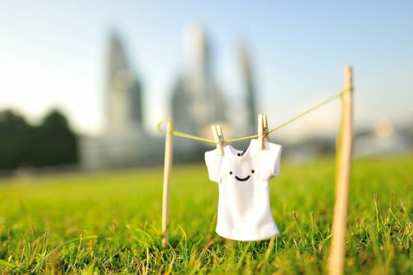 A smiling T-shirt that dries on the field