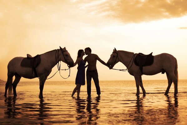 Soirée ramontique à cheval au coucher du soleil