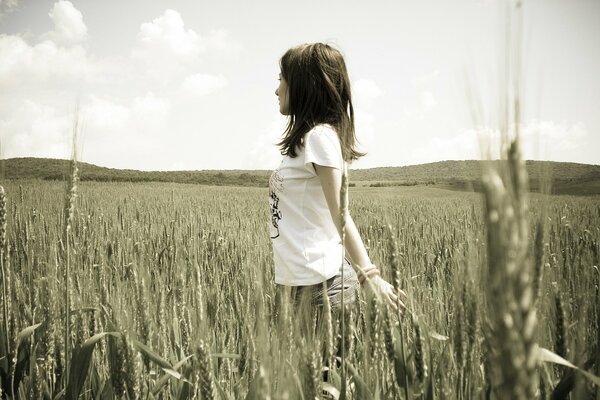 Brune sur un champ de blé. Photographie en noir et blanc