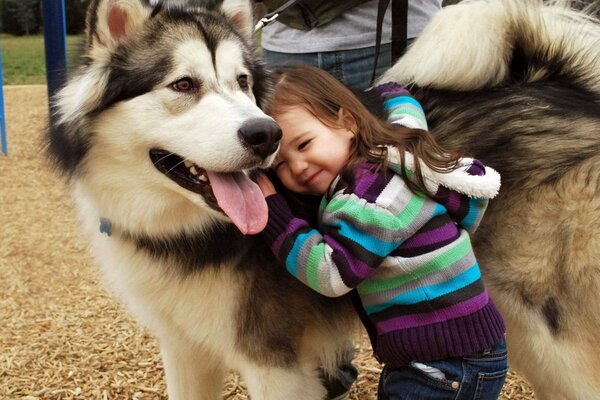 El perro es el mejor amigo del hombre