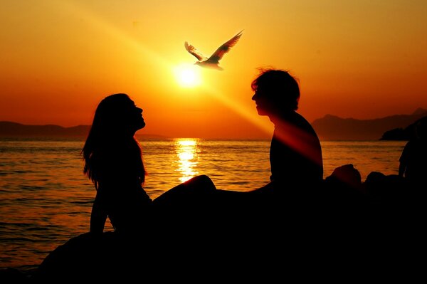 Couple on the seashore with a beautiful sunset and a seagull