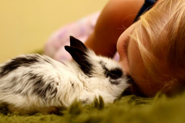 Lapin assis près du visage d une fille