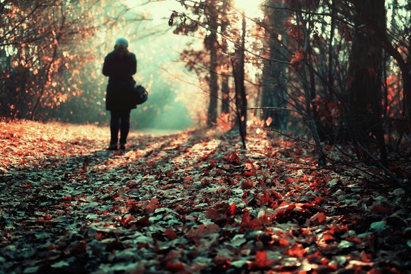 A lonely girl in an autumn park