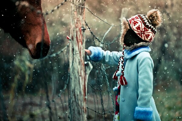 Una niña quiere acariciar a un caballo a través de una valla
