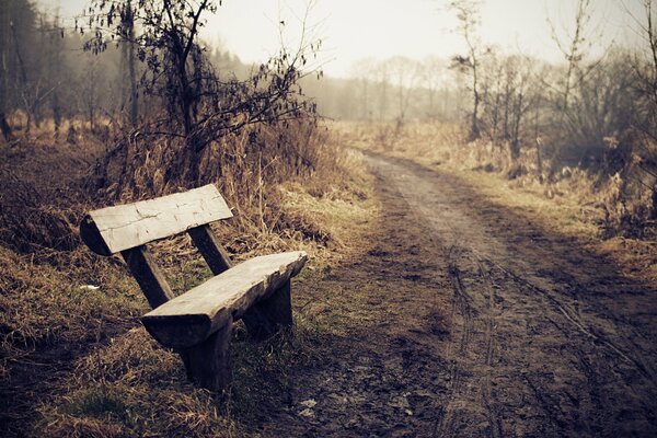 A wooden bench on a foggy road