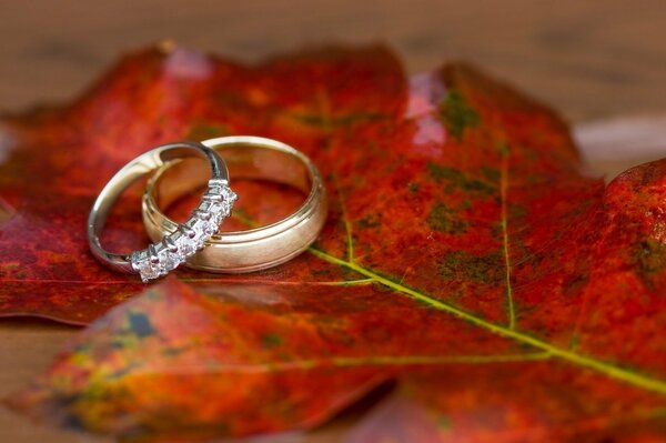 Wedding rings on a sheet in macro