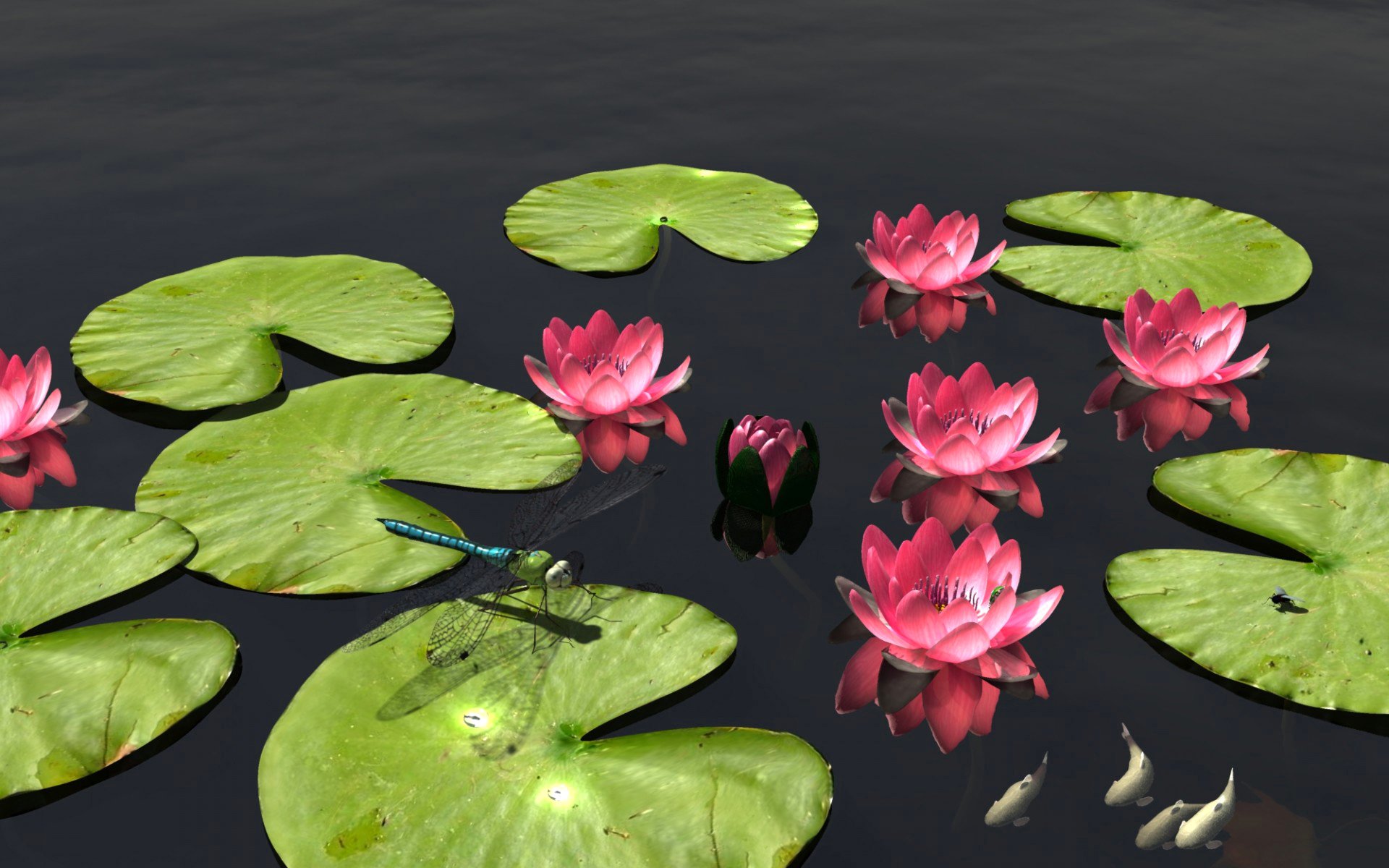 la nature l étang les fleurs les feuilles les poissons la libellule