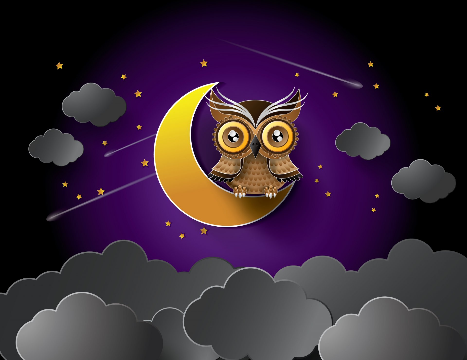 night star moon clouds owl