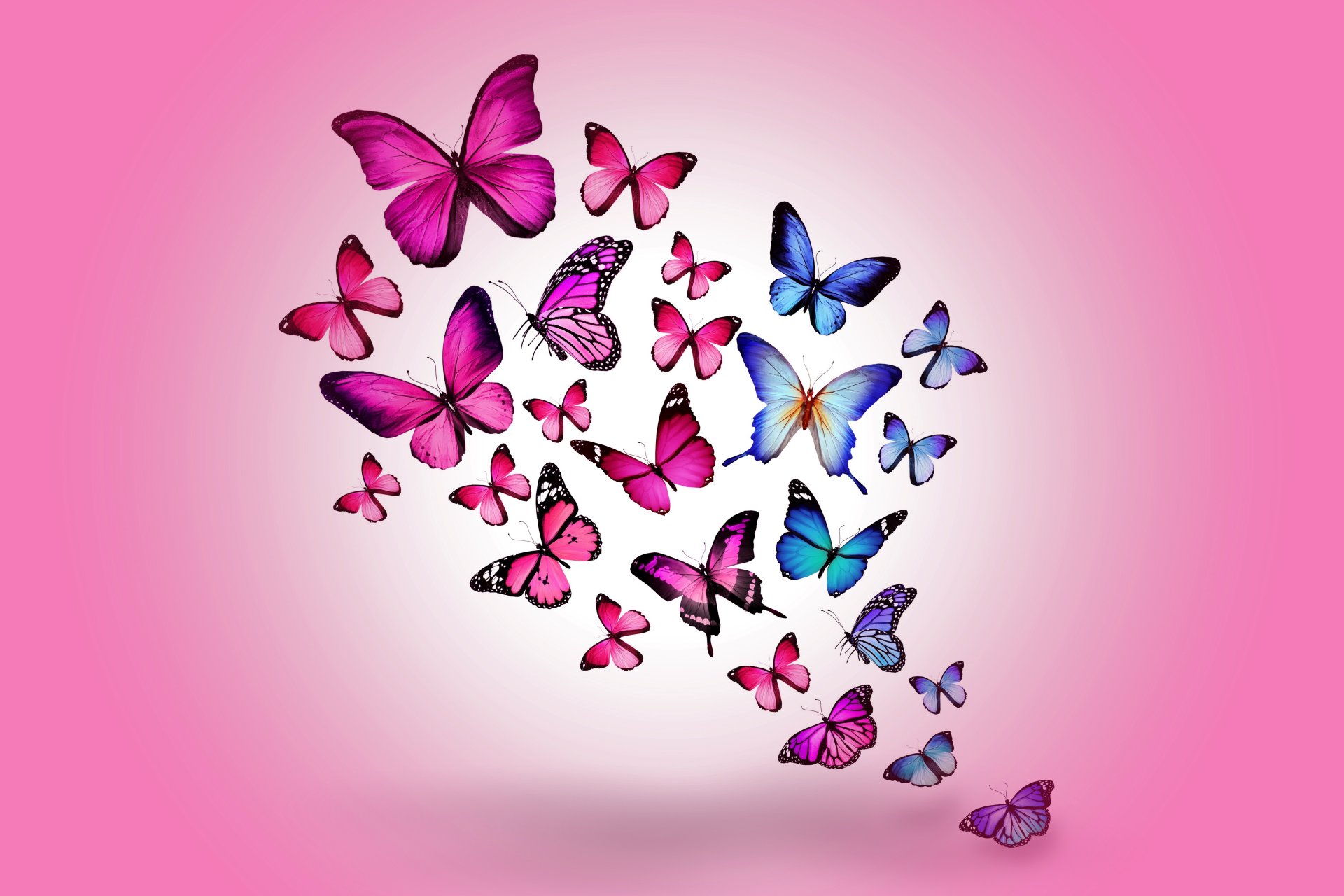 butterflies design by marika colorful pink blue butterfly