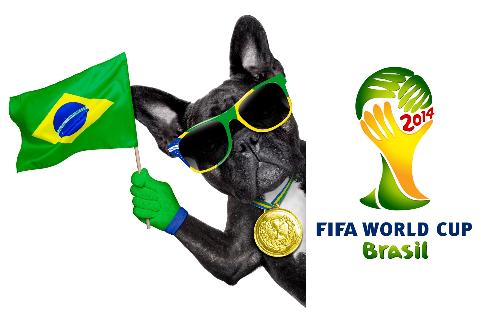 brasile fifa coppa del mondo 2014 calcio bandiera logo cane fresco