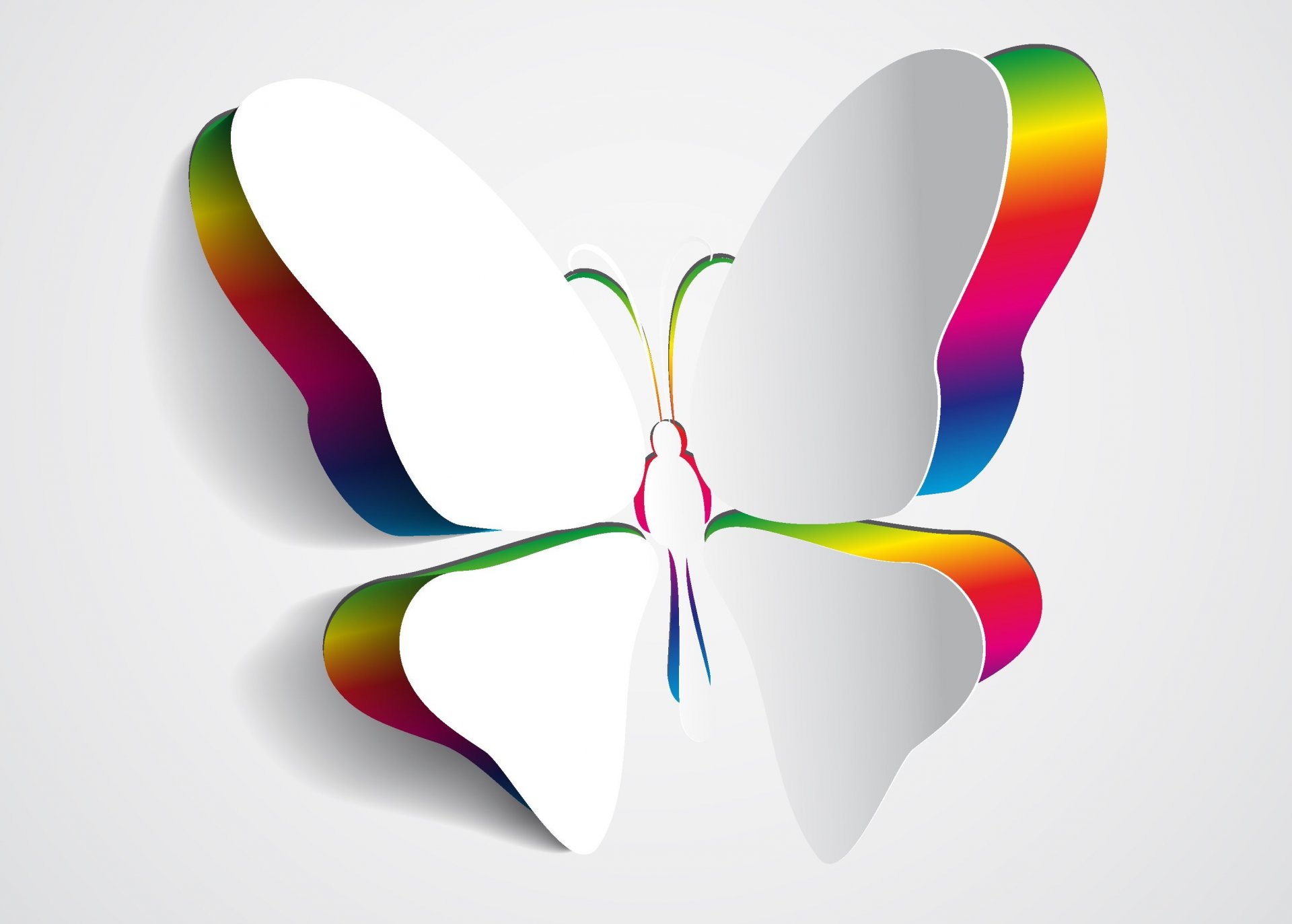 3d papillon ailes couleurs fond