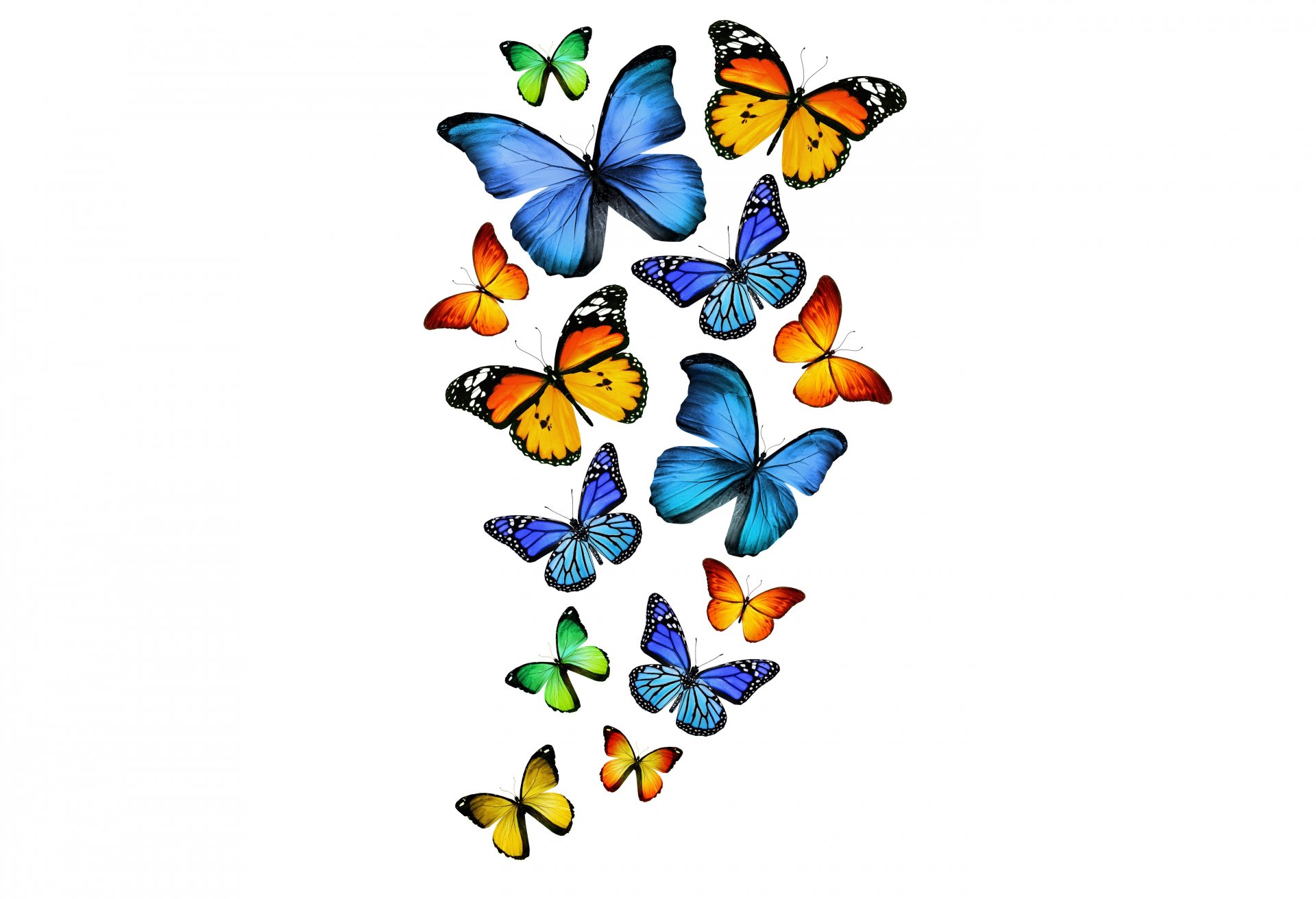 yellow green blue butterflies 3d yellow green blue butterflie