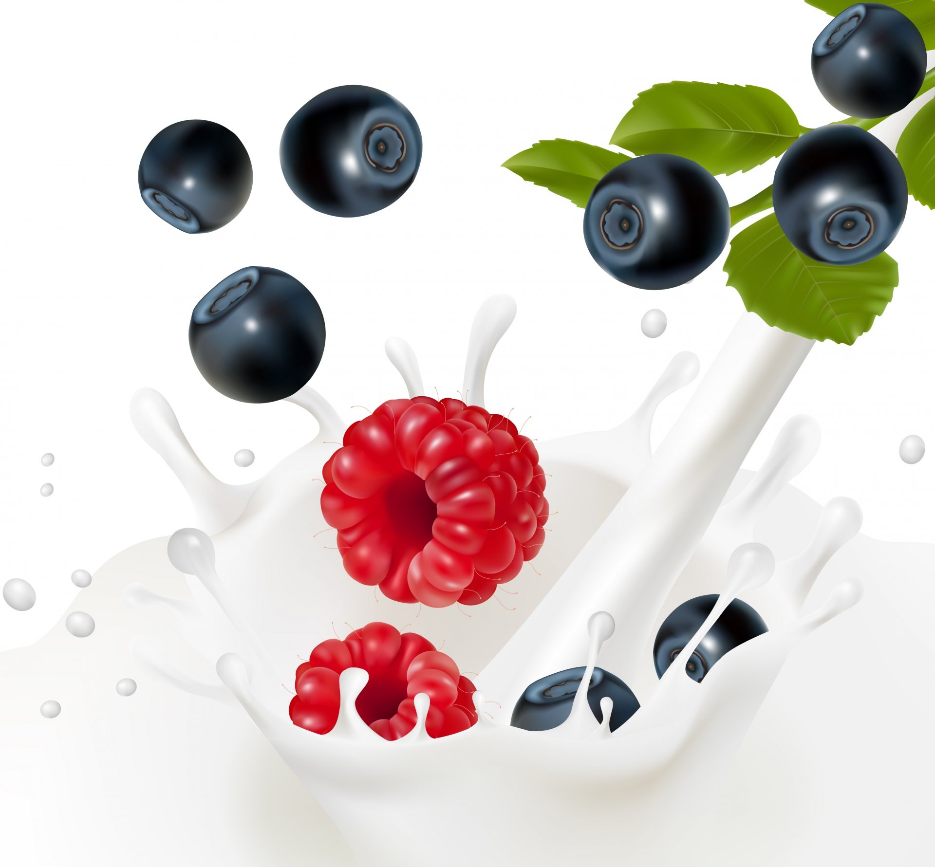 lait éclaboussures baies framboises myrtilles feuilles