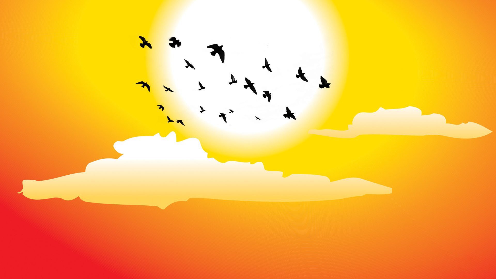 un birds clouds vector graphic