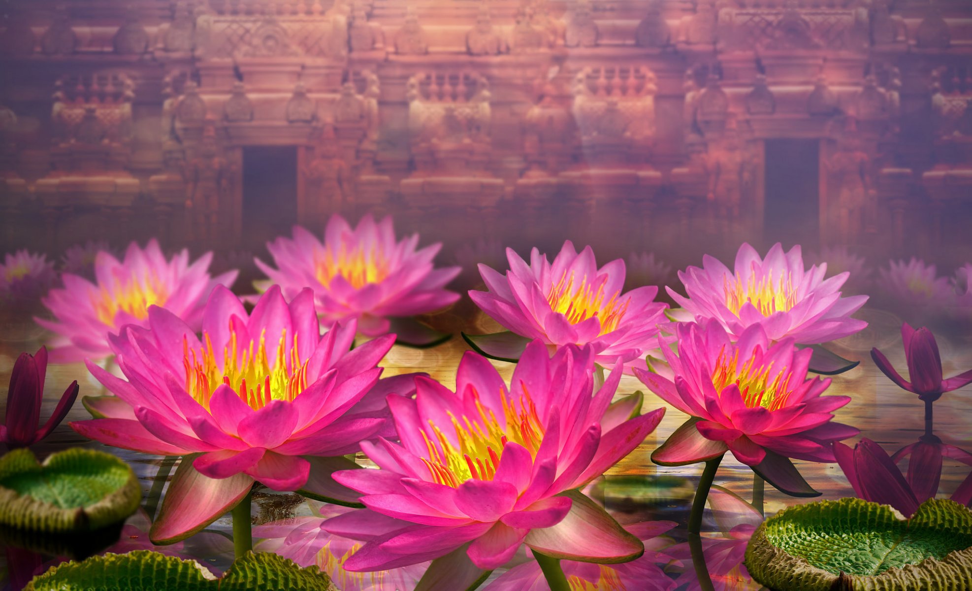 3d flower water lilies leaves the distance wall