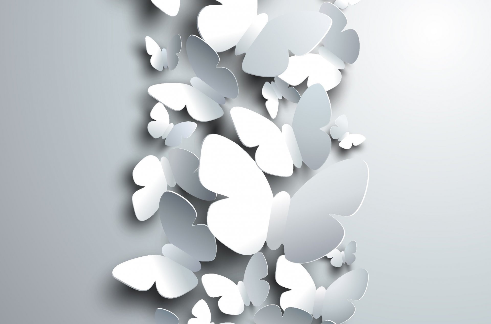 rendering butterfly white background