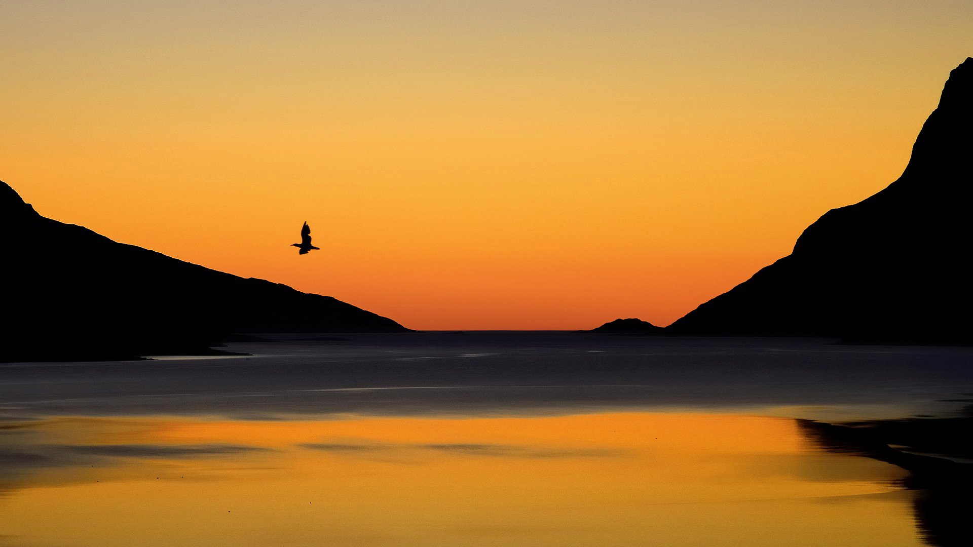 paisaje cielo montañas lago pájaro puesta de sol