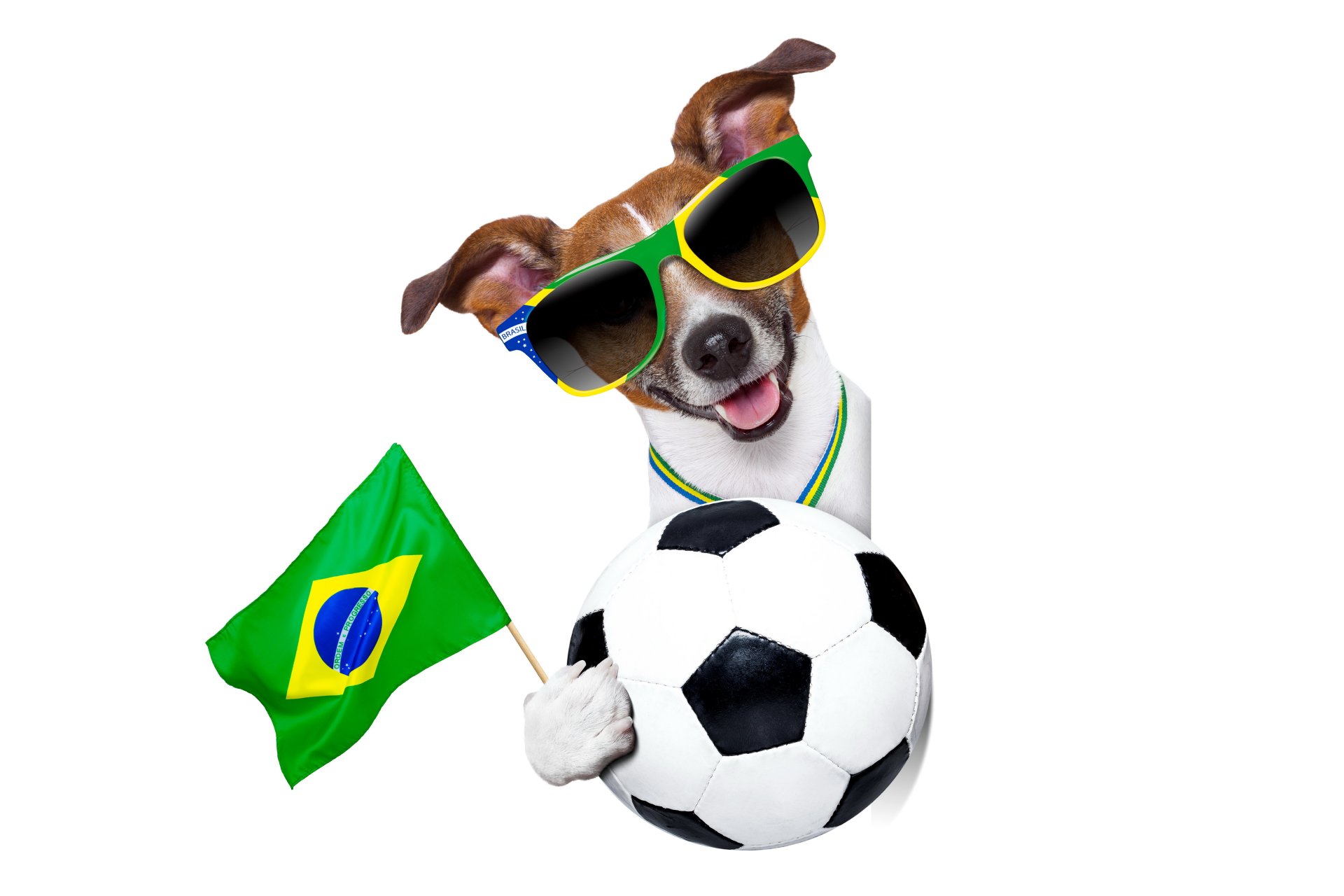 brazil fifa world cup 2014 soccer flag logo dog cool glasse