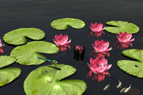 A water surface with leaves, flowers and a dragonfly