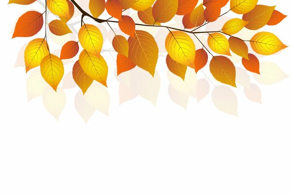 Autumn leaves on a white background