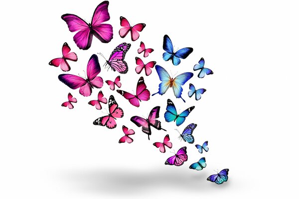 Розовые и синие бабочки в 3d