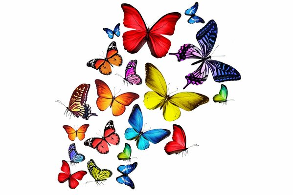 Bunte helle Schmetterlinge 3d