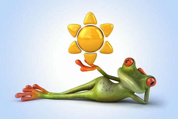 Image with a frog sunbathing in the sun