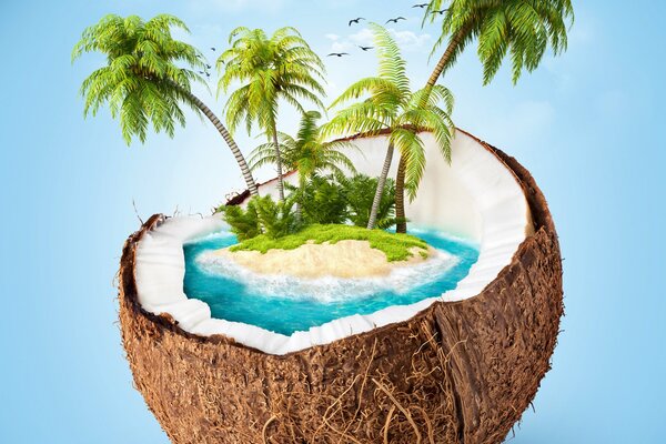 An island with palm trees in coconut