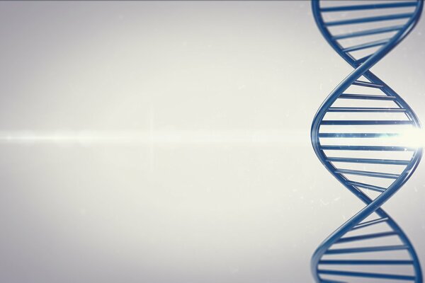 Graficzny Rysunek DNA