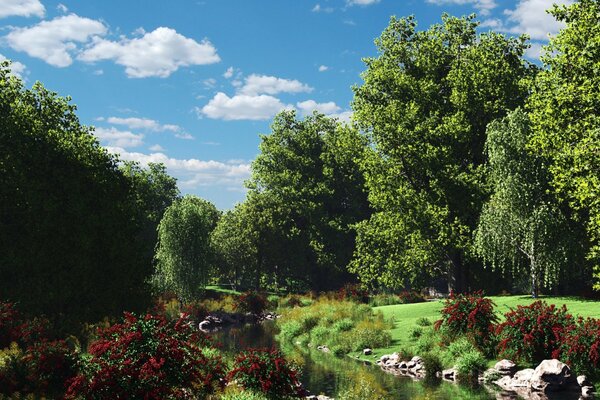 La nature magnifique de la forêt, un ruisseau, des fleurs dans la prairie