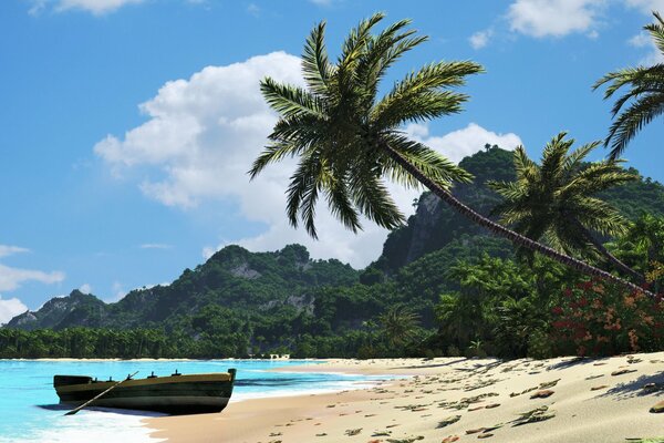 An exotic beach with palm trees and a boat