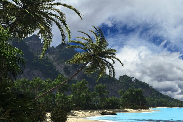 Paisaje tropical palmeras mar nubes