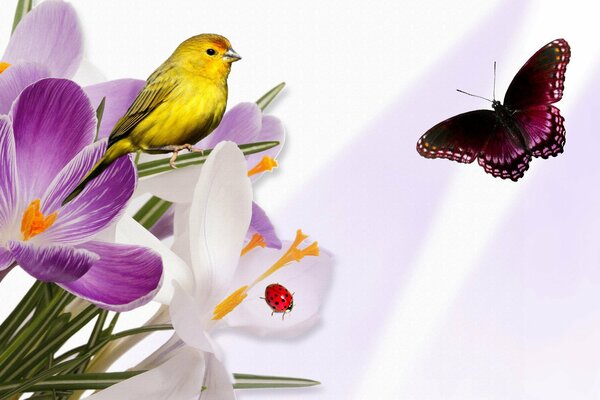 A bird is sitting on a branch among flowers. A butterfly flies by