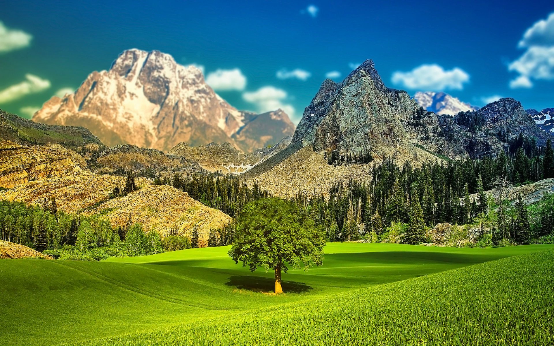 le paysage le ciel les montagnes la vallée les arbres l herbe