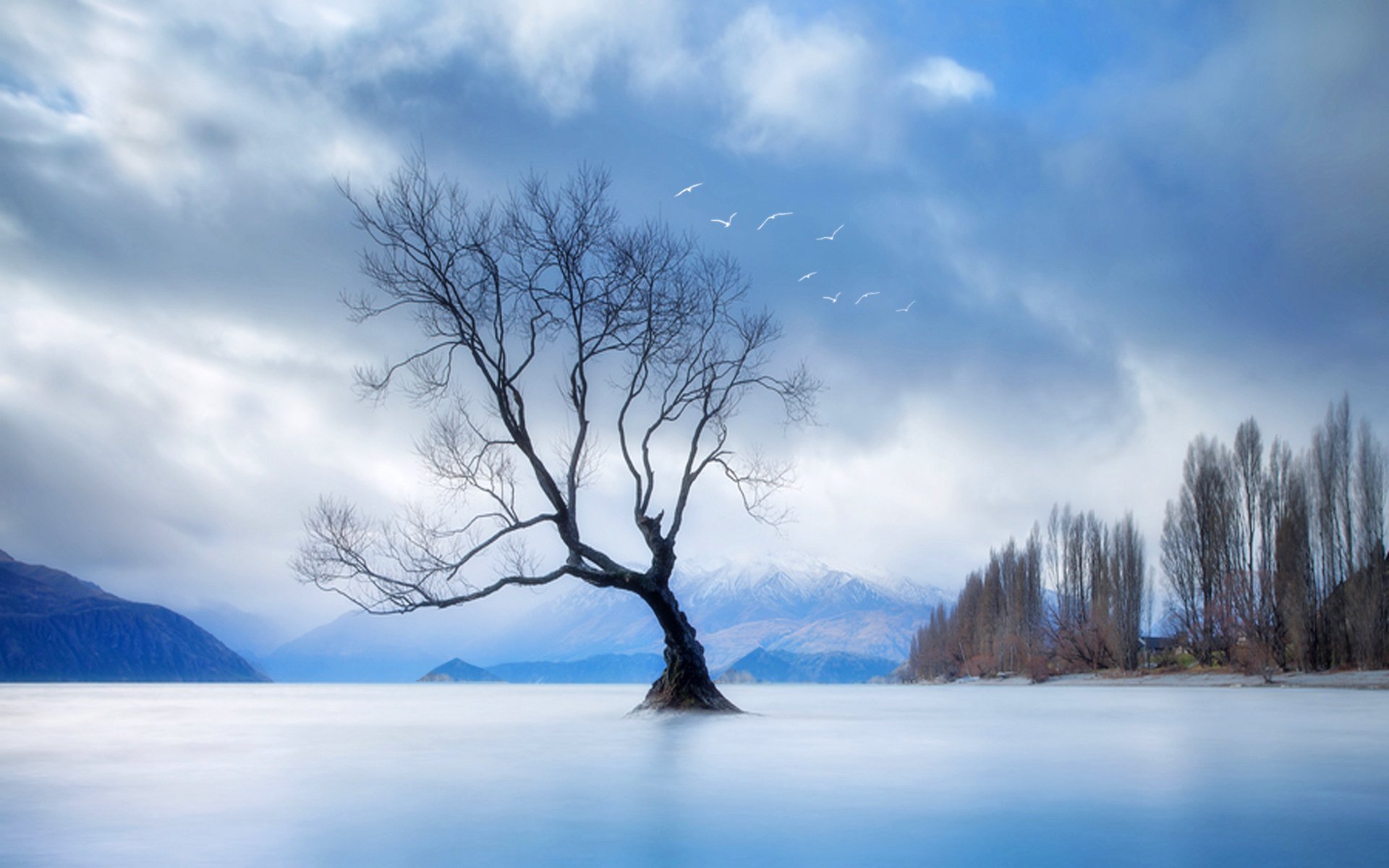 paesaggio natura albero montagna uccelli cielo nuvole