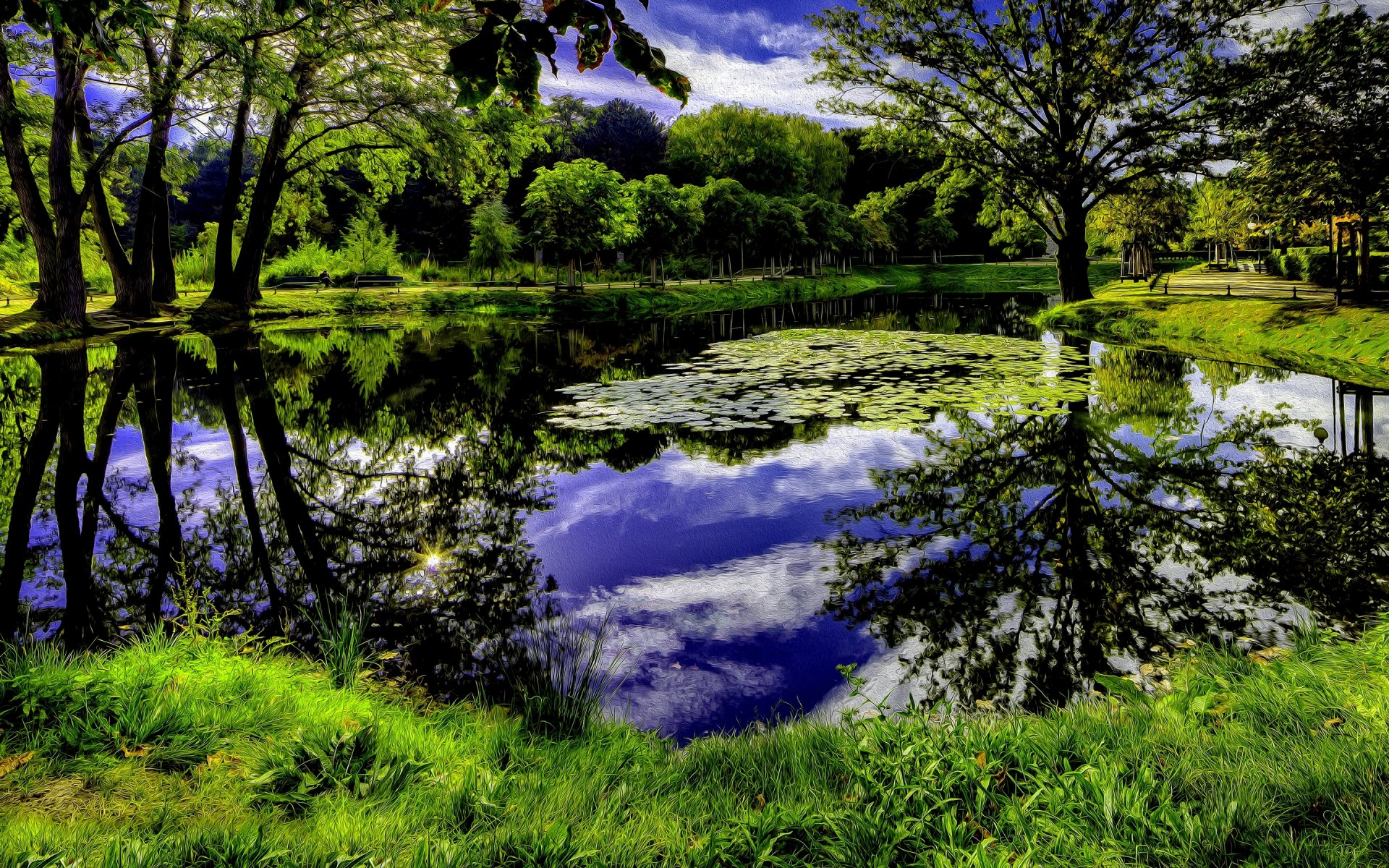 natura alberi erba cielo nuvole stagno