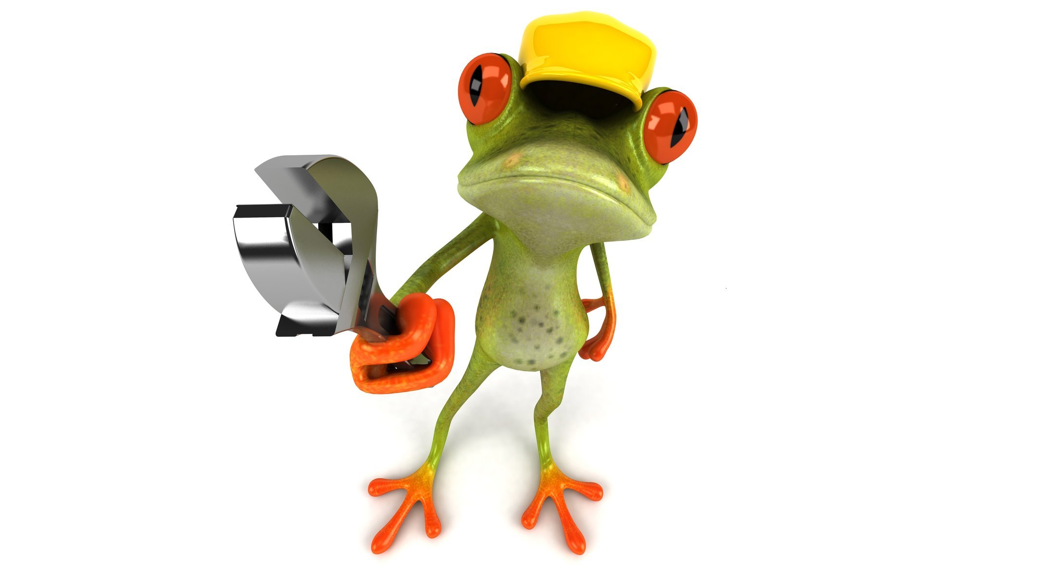 gratuit grenouille 3d la grenouille le graphique la réparation la clé la casquette