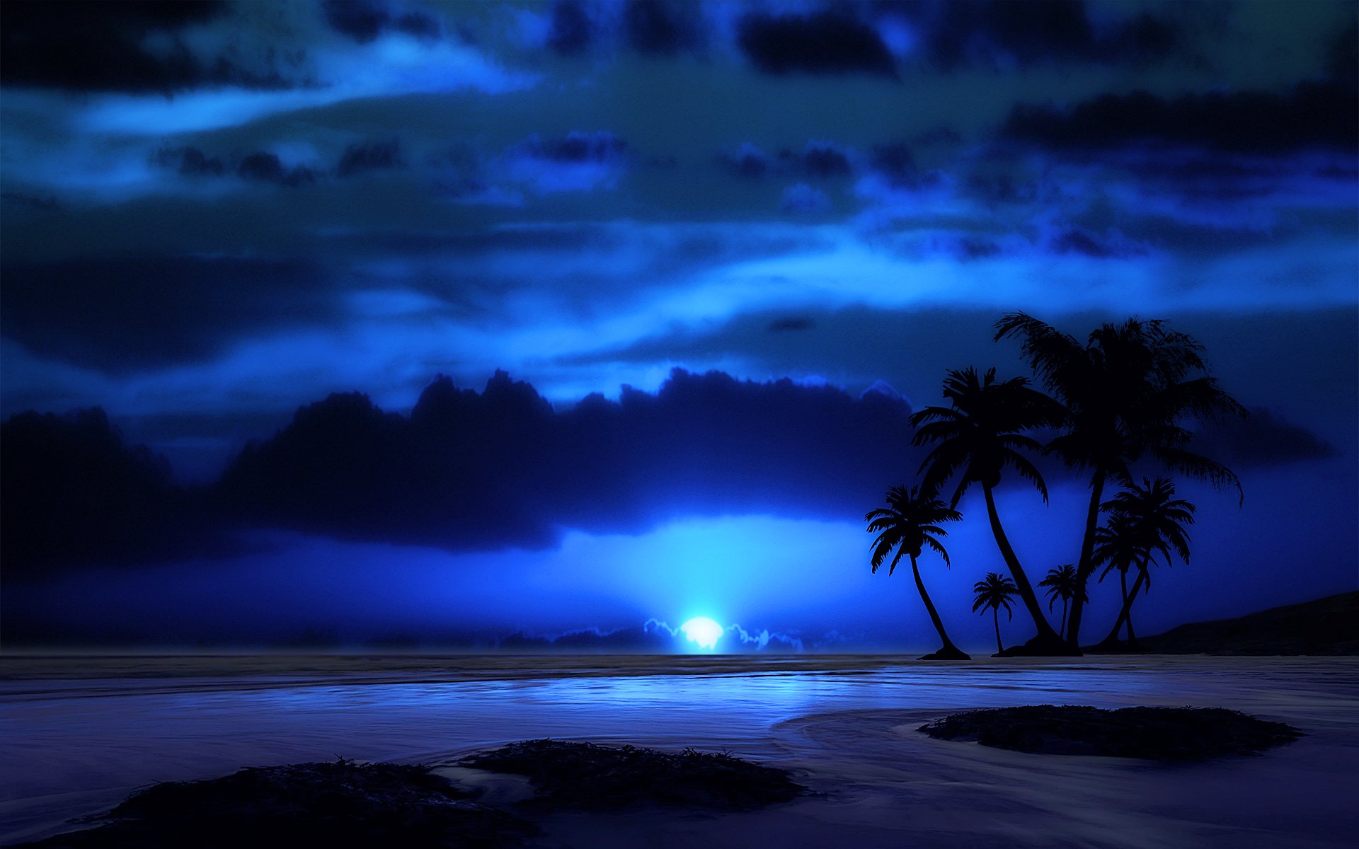 evening night sky clouds sea tropics palm tree landscape moon