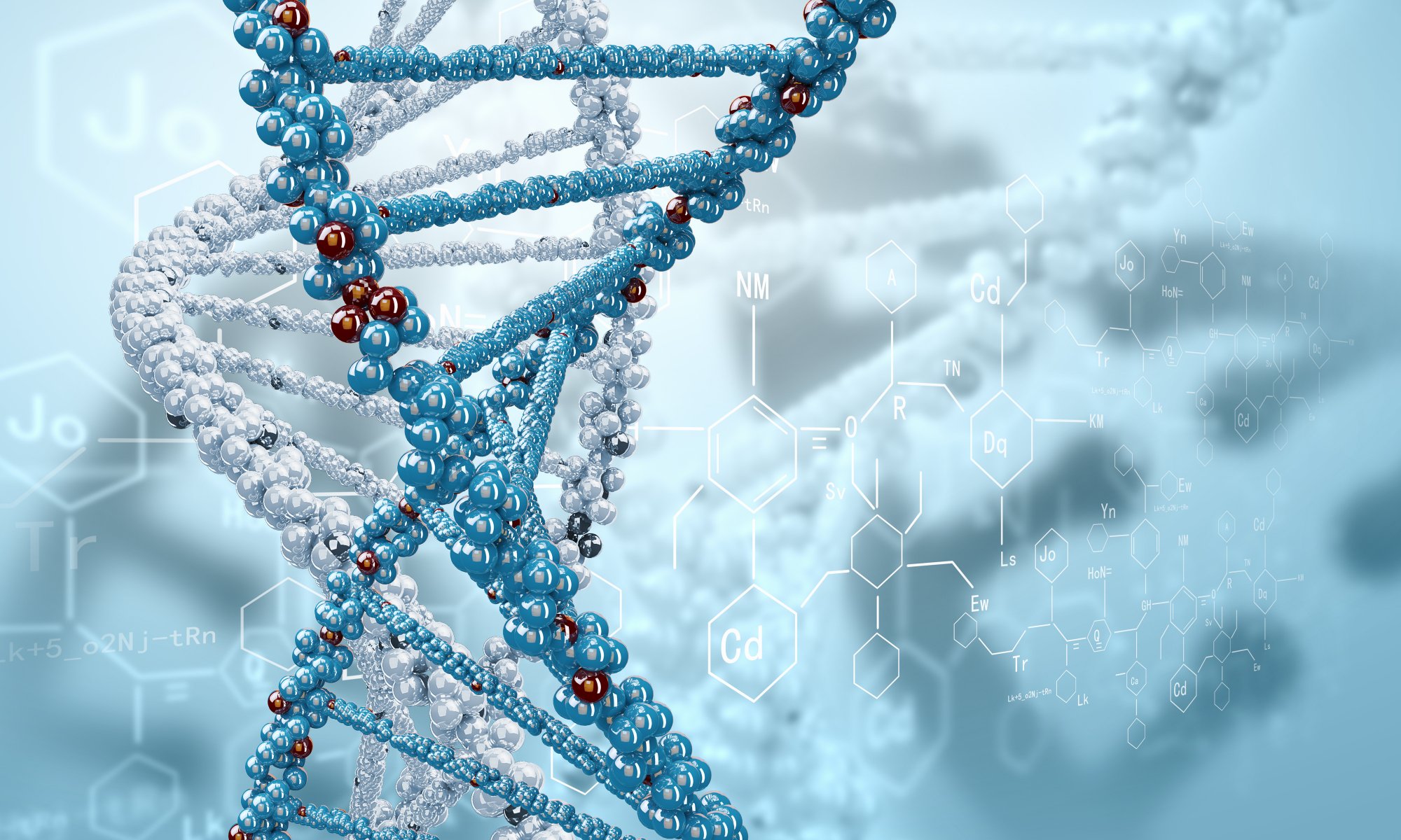 le rendu l adn les formules la spirale