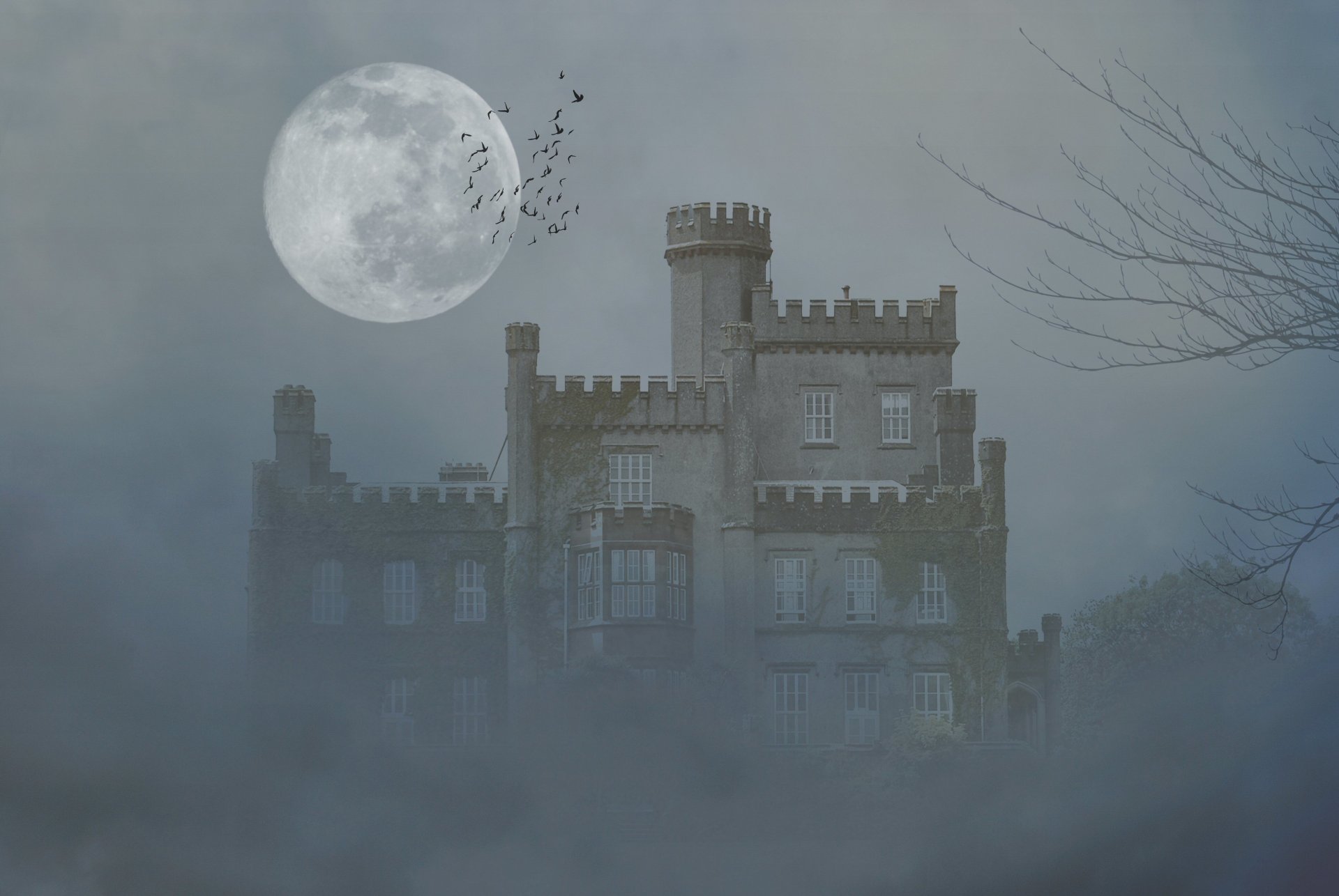 castle tree moon birds fog darkne