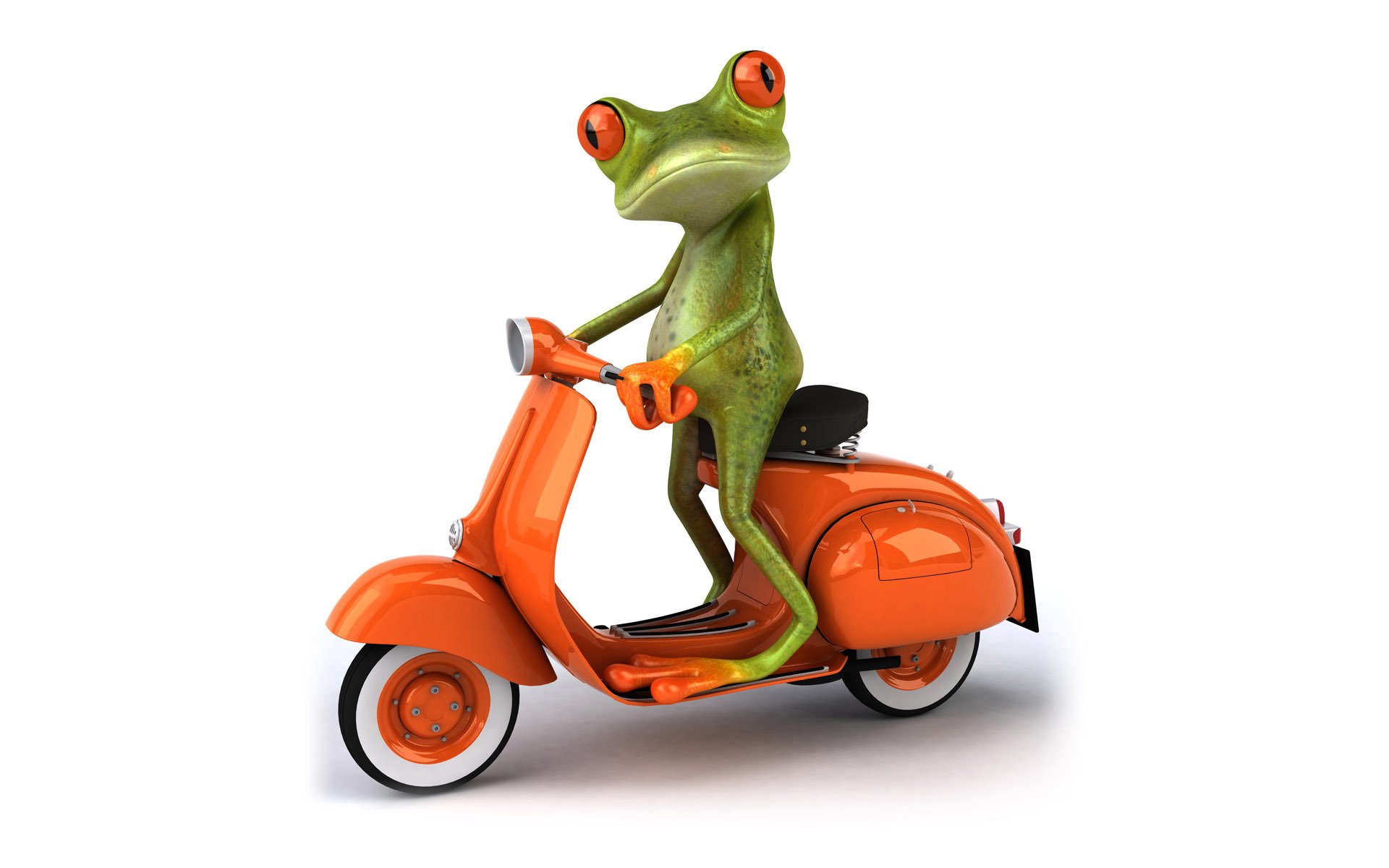 freier frosch 3d frosch grafik moped transport