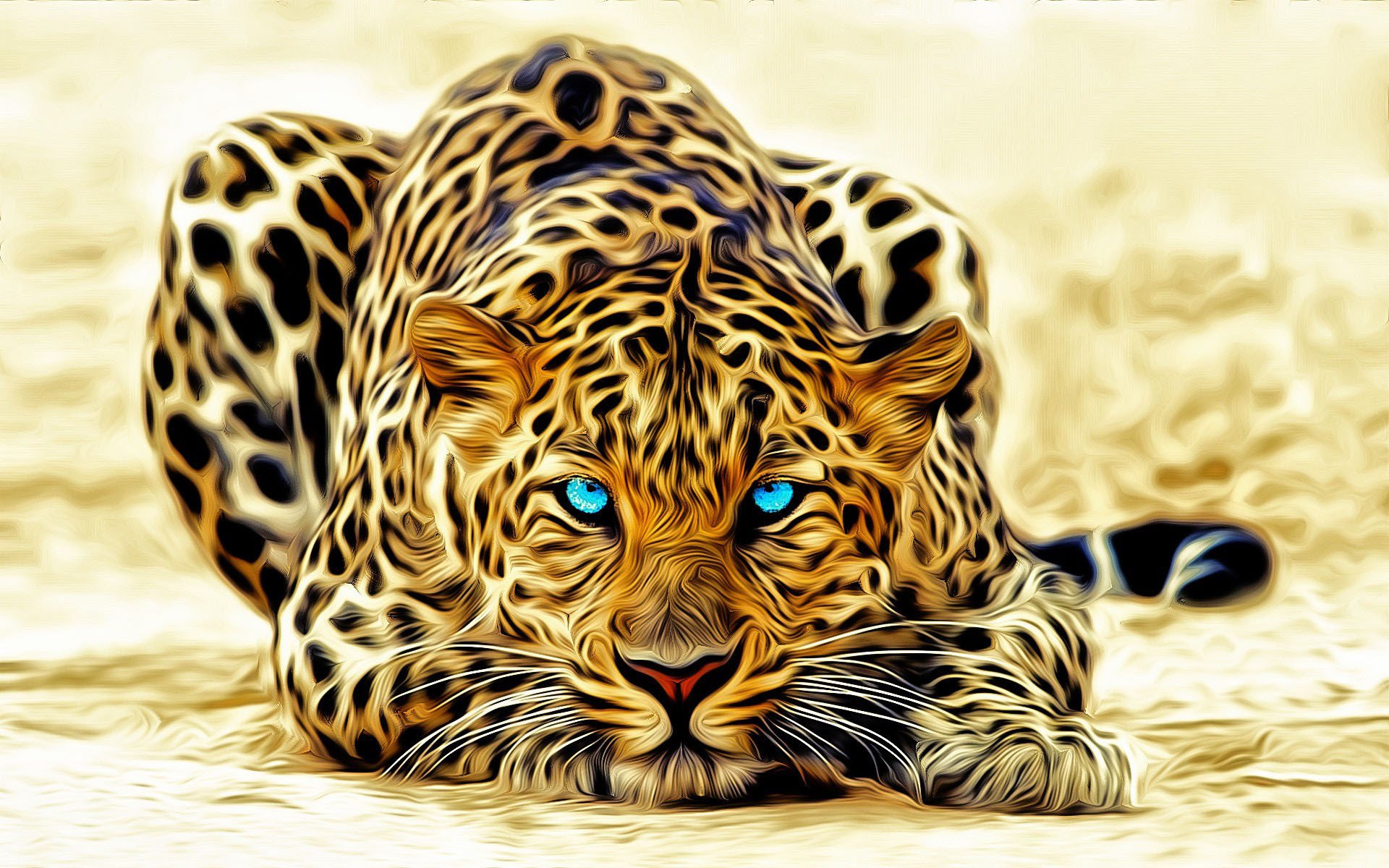 leopard augen blau farbe liegt