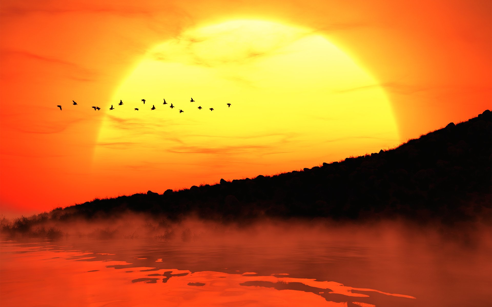 zachód słońca mgła słońce brzeg sylwetki ptaki