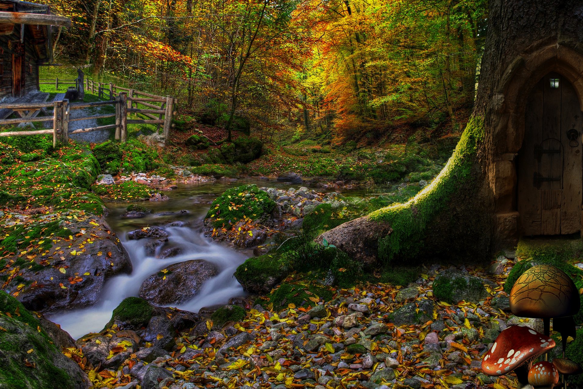 la forêt les arbres la pente la maison des feuilles des champignons de la porte la lampe de poche